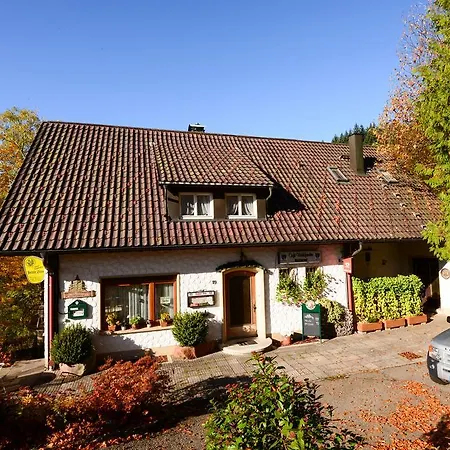Café Pension Waldfrieden Bad Peterstal-Griesbach Exterior foto