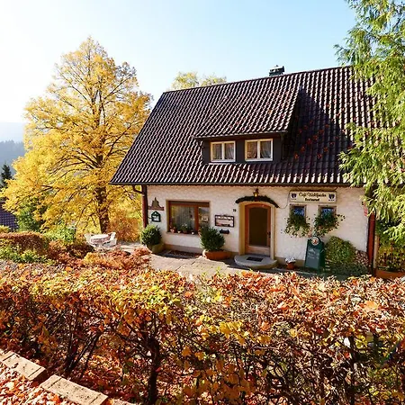Café Pension Waldfrieden Bad Peterstal-Griesbach Exterior foto