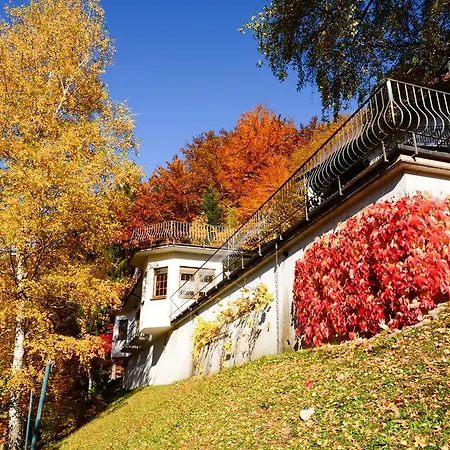 Café Pension Waldfrieden Bad Peterstal-Griesbach Exterior foto