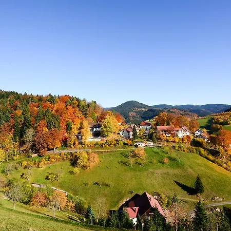 Café Pension Waldfrieden Bad Peterstal-Griesbach Exterior foto